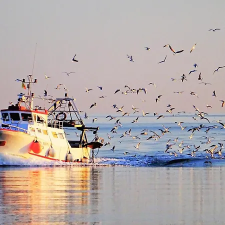La Casa Del Pescatore N 33 - Porto Di St Spirito * Μπάρι
