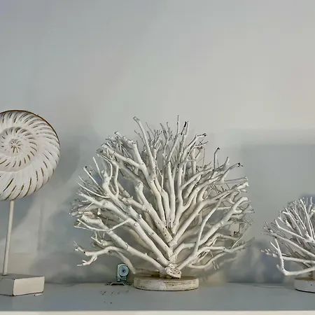 La Casa Del Pescatore N 33 - Porto Di St Spirito Διαμέρισμα Μπάρι